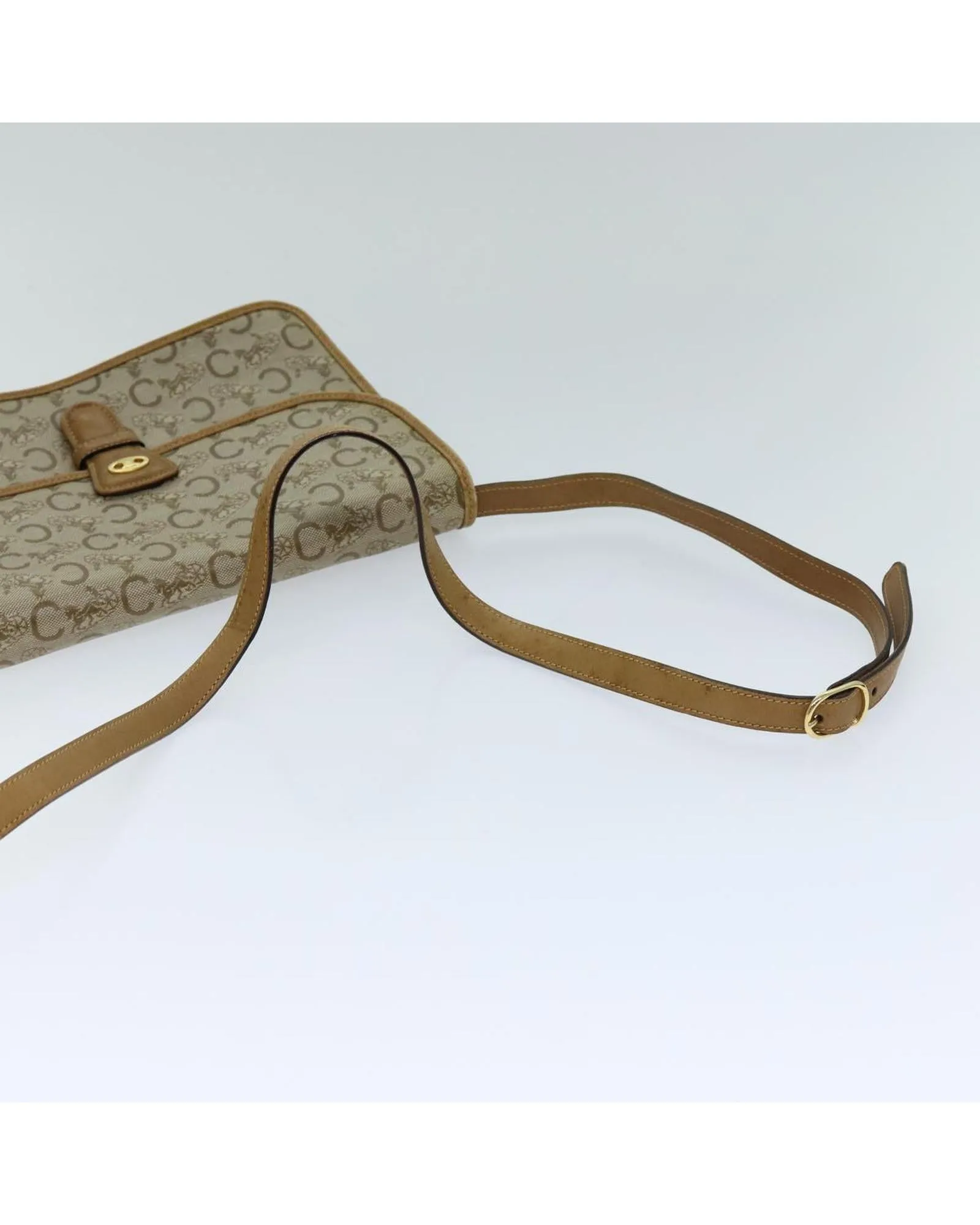 CELINE Cabas Phantom Beige Canvas Leather Shoulder Bag